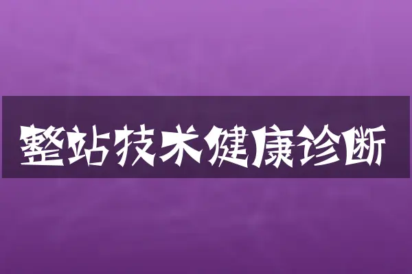 整站技术健康诊断